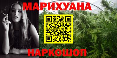 стафф Будённовск