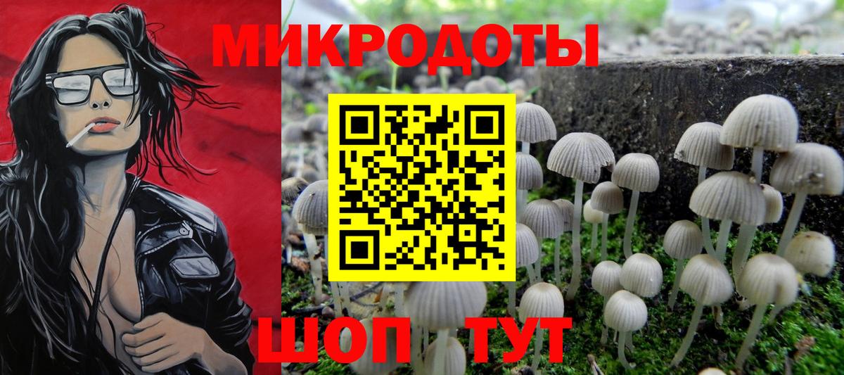 Галлюциногенные грибы Psilocybine cubensis  Вход с VPN  Россошь 